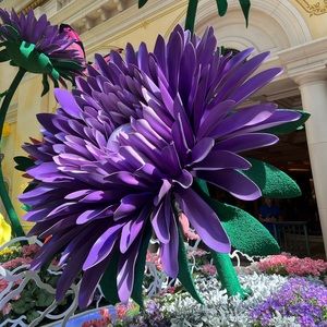 Meet your Posher, Diana